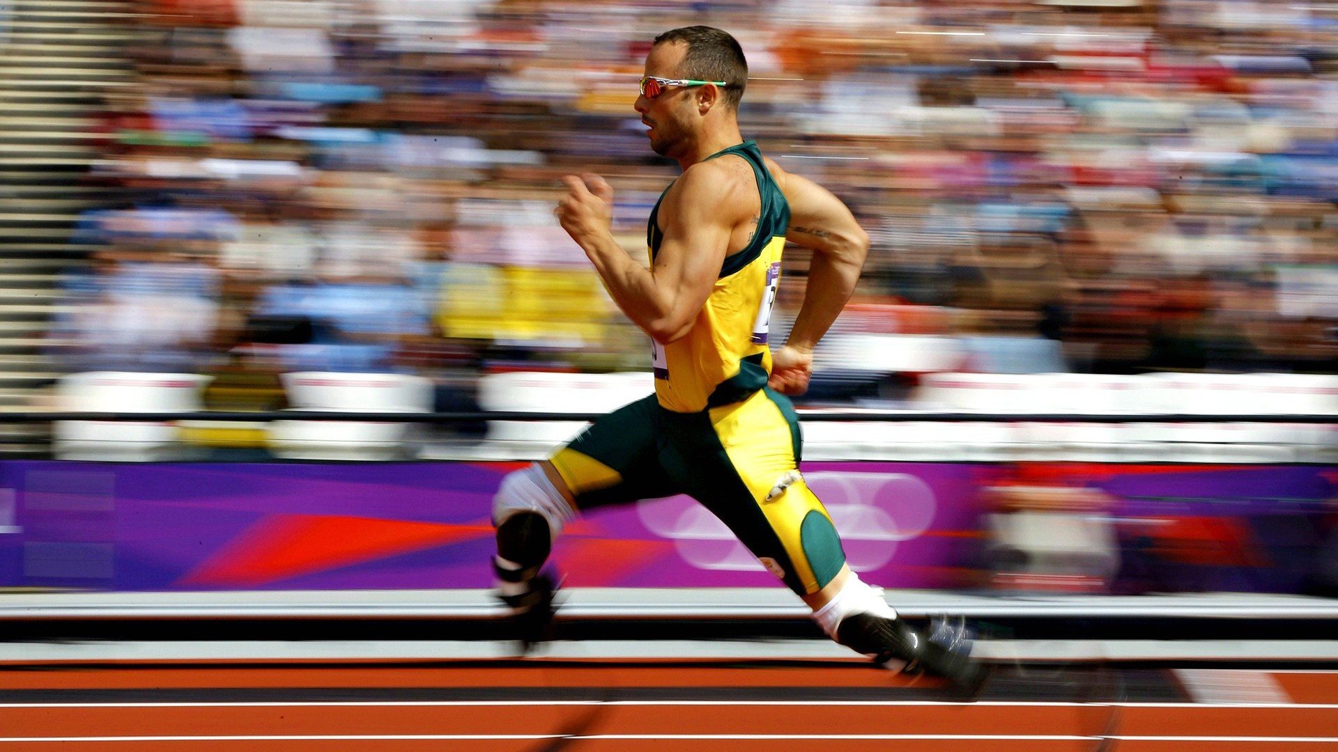 _镜湖泛舟：湖上轻松乐趣多_，镜湖水上