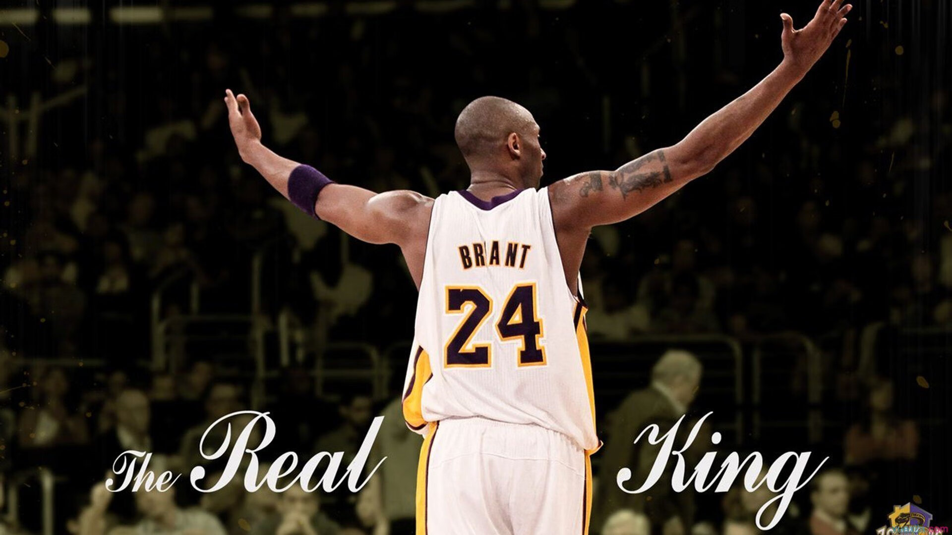 _边境越野赛事：探索未知的新奇体验_，什么是边境野卒